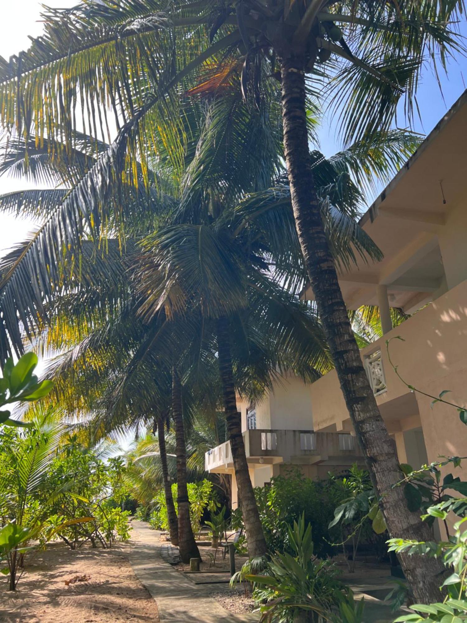 Villasiri And Leon Beach Paradise Tangalle Zewnętrze zdjęcie