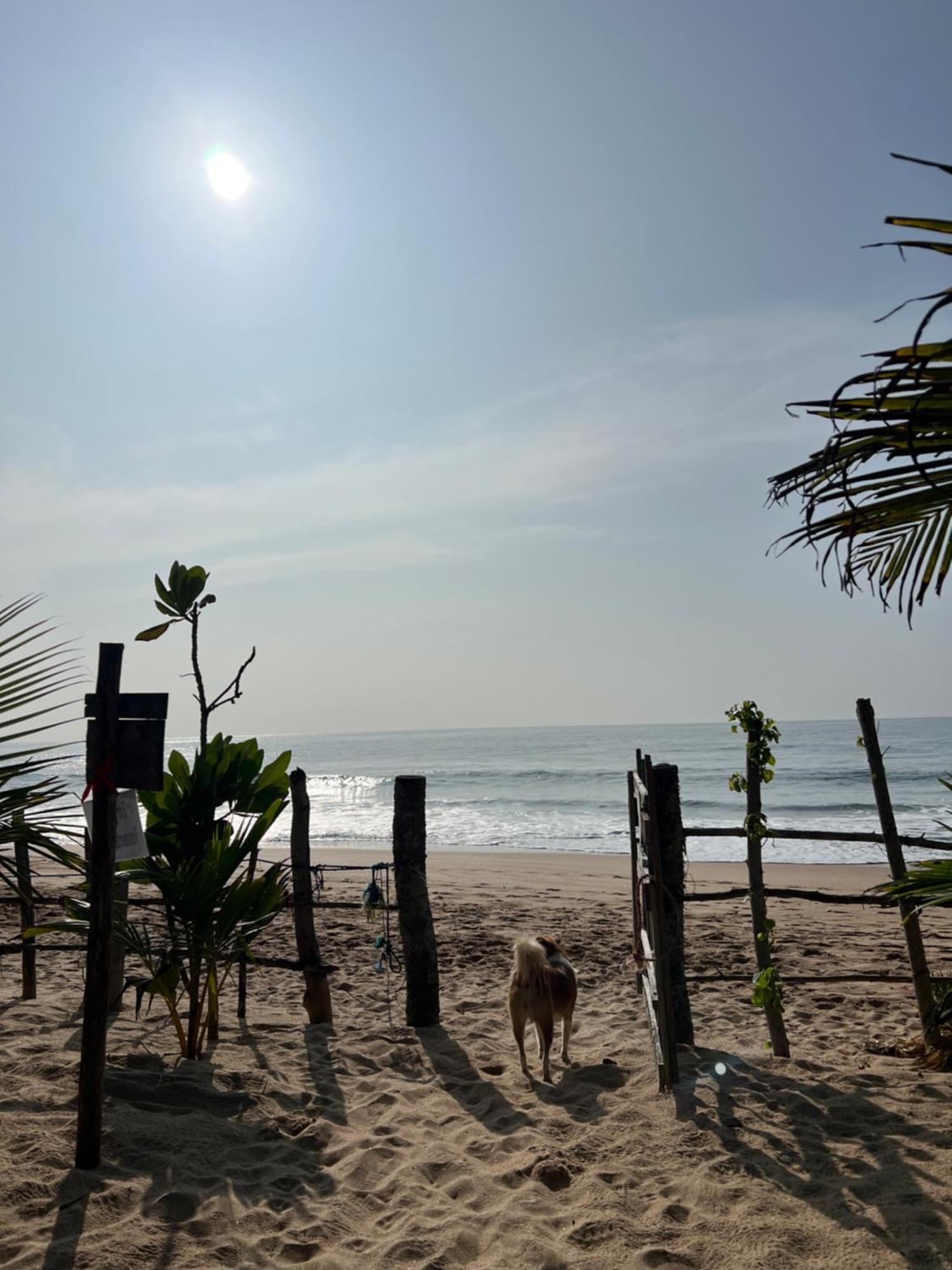 Villasiri And Leon Beach Paradise Tangalle Zewnętrze zdjęcie