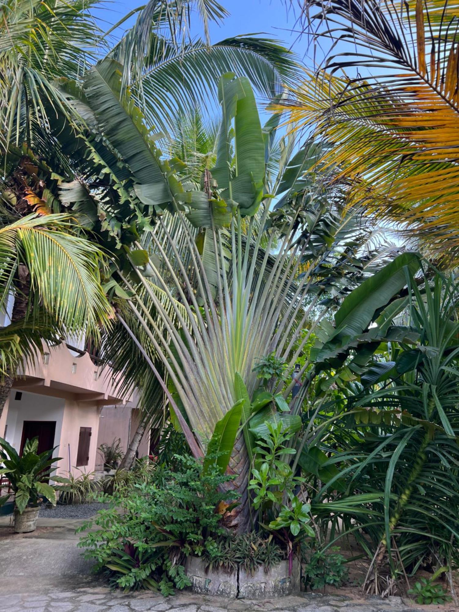Villasiri And Leon Beach Paradise Tangalle Zewnętrze zdjęcie